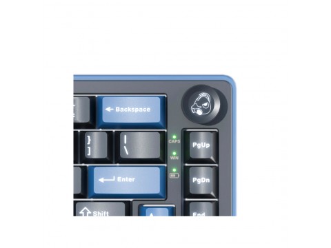 Клавиатура Ducky OK-M-65 Wine Red Switch