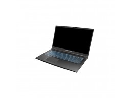 Ноутбук Dream Machines RG3060-17KZ38 17.3" FHD 240Hz i7-12700H 16GB 1TB RTX3060 DOS