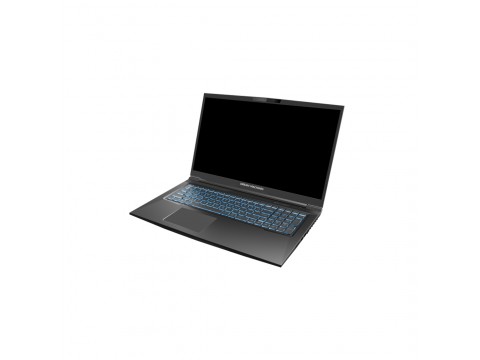 Ноутбук Dream Machines RG3060-17KZ38 17.3" FHD 240Hz i7-12700H 16GB 1TB RTX3060 DOS