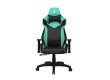 Игровое компьютерное кресло 1STPLAYER WIN 101/ BKGE