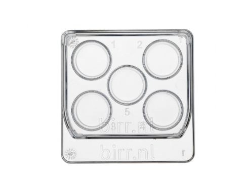 Square 5 well dish, per 6 - 30x6/box