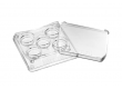 Square 5 well dish, per 6 - 30x6/box