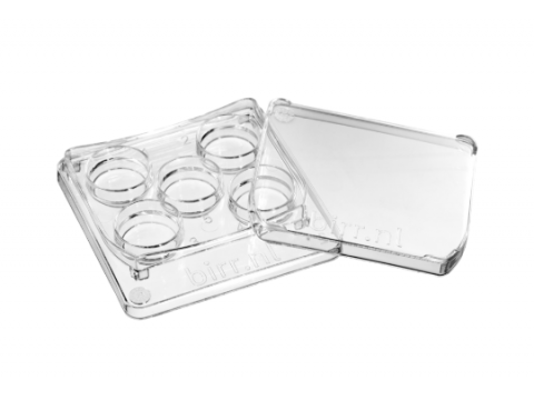 Square 5 well dish, per 6 - 30x6/box