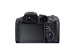 Цифровой фотоаппарат CANON EOS R7 + RF-S 18-150 mm IS STM