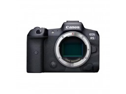 Цифровой фотоаппарат CANON EOS R5 BODY V2.4