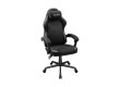 Игровое компьютерное кресло Cougar Fusion EX Ash F