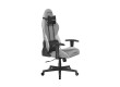 Игровое компьютерное кресло DX Racer Prince GC/LPF24FBCFBB/GW