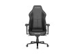 Игровое компьютерное кресло DX Racer Martian PRO GC/XLMP25LTA/TRIANGLE.N