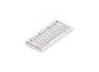 Клавиатура Dark Project ALU81A Terra Nostra White