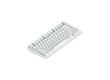 Клавиатура Dark Project ALU81A Terra Nova White