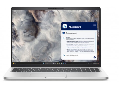 Ноутбук Dell Pro 16 Plus PB16250, Core Ultra 7, 16'' FHD+, 16 GB DDR5, SSD 512 GB, Ubuntu