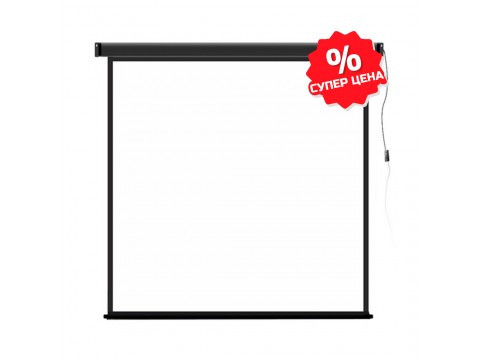 Экран моторизированный Deluxe DLS-E213x (84"х84"), Ø - 118", Раб. поверхность 205х205 см., 1:1