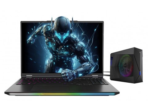 Ноутбук Dream Machines RX5080-16KZ25 / X6AR558Y (RX5080-16KZ25)