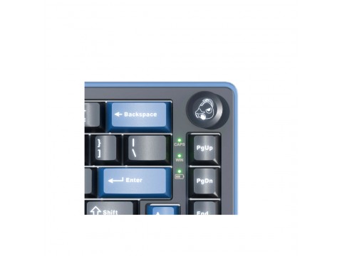 Клавиатура Ducky OK-M-98 Baby Switch