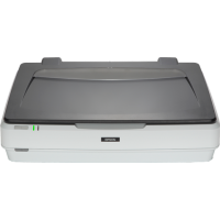 Планшетный сканер Epson Expression 12000XL
