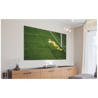 Экран для лазерного TV 120” ELPSC36