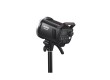 Импульсный свет Godox MS300V