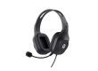 Гарнитура HP DHH-1601 Черный