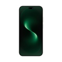 Абонентский терминал Huawei Nova 15 PSN-LX9 12GB RAM 256GB ROM Green