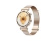 Смарт часы Huawei Watch GT 6 KSU-B19 41mm Gold Milanese Strap