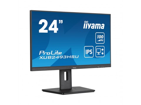 Монитор iiyama ProLite PL2493HS XUB2493HSU-B6 23,8"