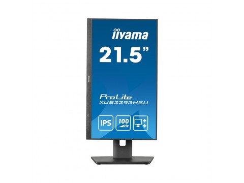 Монитор iiyama ProLite PL2293HS XUB2293HSU-B6 21.5"