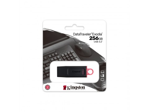 USB Флеш накопитель Kingston DTX/256GB 256GB Чёрный
