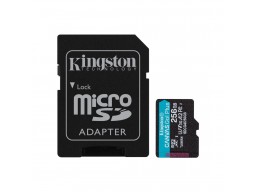 Карта памяти Kingston SDCG4/256GB Canvas Go Plus A2 U3 V30 256GB