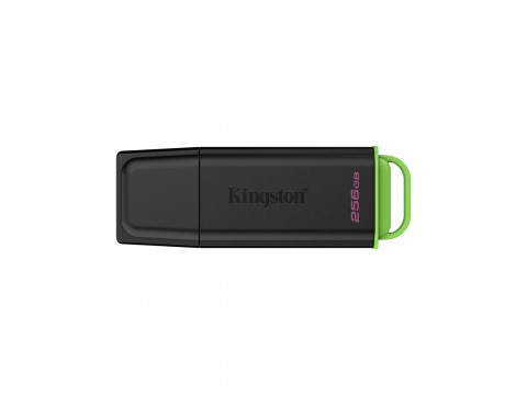 USB-накопитель Kingston DTXG2/256GB 256GB Чёрный/Зелёный
