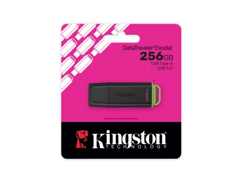 USB-накопитель Kingston DTXG2/256GB 256GB Чёрный/Зелёный