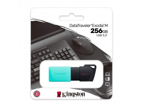 USB Флеш накопитель 256GB 3.2 Kingston DTXM/256GB