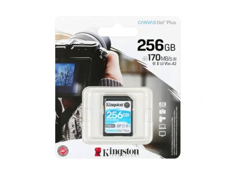 Карта памяти Kingston SDG3/256GB SD 256GB