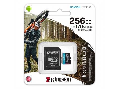 Карта памяти microSD 256GB Kingston SDCG3/256GB