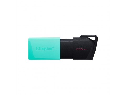 USB Флеш накопитель Kingston DTXM/256GB 256GB Бирюзовый