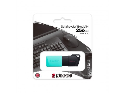 USB Флеш накопитель Kingston DTXM/256GB 256GB Бирюзовый