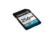 Карта памяти Kingston SDG4/256GB Canvas Go Plus Gen4 C10 UHS-I U3 V30 256GB