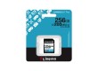 Карта памяти Kingston SDG4/256GB Canvas Go Plus Gen4 C10 UHS-I U3 V30 256GB