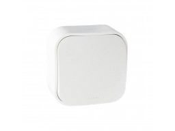 Выключатель без фиксации (кнопка) Legrand Forix 6A 250В IP20 накладной белый