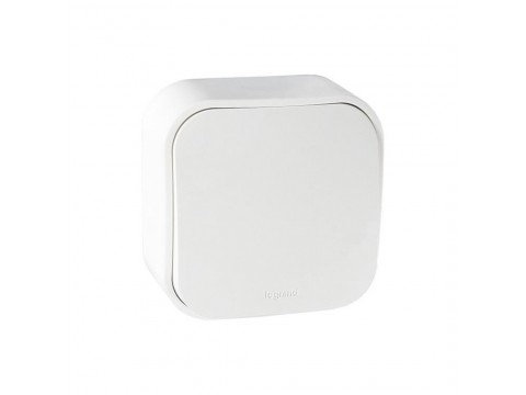 Выключатель без фиксации (кнопка) Legrand Forix 6A 250В IP20 накладной белый