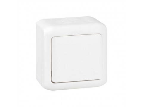 Выключатель без фиксации (кнопка) Legrand Forix 6A 250В IP44 накладной белый