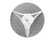 Антенна MikroTik LHG LTE kit / Высокая производительность и надежное LTE соединение