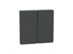 Клавиша MERTEN MTN3400-6034 D-Life 2-ная антрацит
