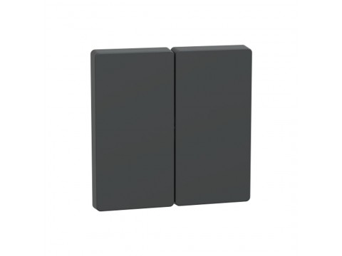 Клавиша MERTEN MTN3400-6034 D-Life 2-ная антрацит