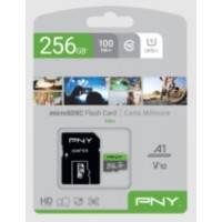 Карта памяти PNY (P-SDUX256U1GW-GE)