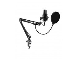 Микрофон Ritmix RDM-169 черный