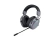 Гарнитура Rapoo VH800 Черный