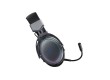 Гарнитура Rapoo VH800 Черный