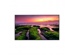 Профессиональный дисплей Samsung 65" LH65QBCEBGCXCI