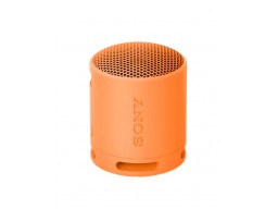 Портативная колонка Sony SRS-XB100/DCE