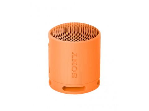 Портативная колонка Sony SRS-XB100/DCE